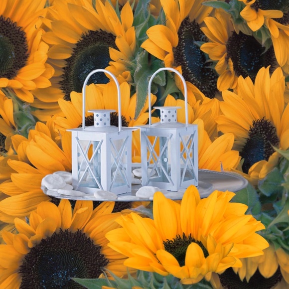 White Lantern Candle Holder - Elegant Wedding Favors for Guests - Picture 1 of 9